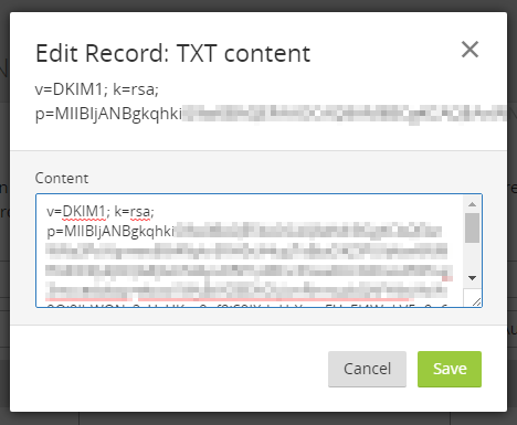 DNS provider paste TXT record